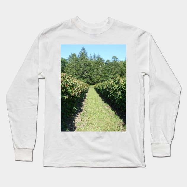 Raspberry Farm Nature Photography Pacific Northwest Long Sleeve T-Shirt by starcraft542